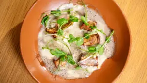 Prato com cogumelos, molho cremoso, coberto com microverdes, representando um exemplo de menu principal de cave ou cellar.